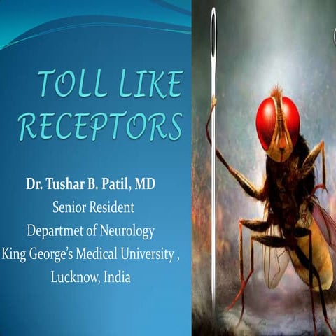 Toll like receptors   