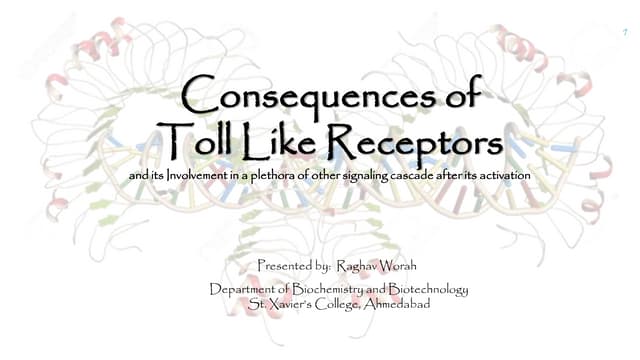 Toll like receptors 
