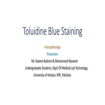 Toluidine blue staining for mast cells