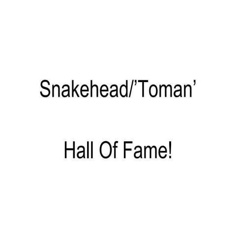 Toman Hall Of Fame