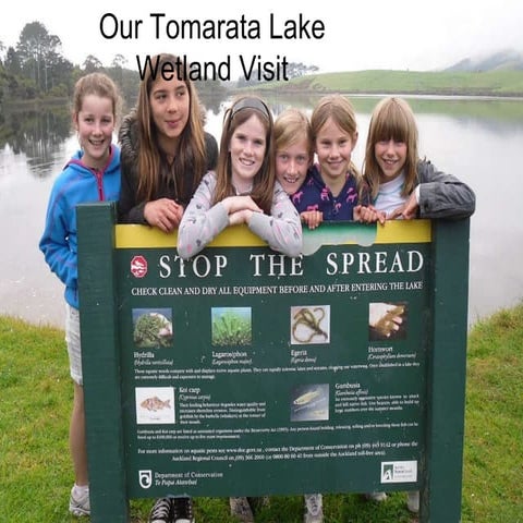 Tomarata lake visit