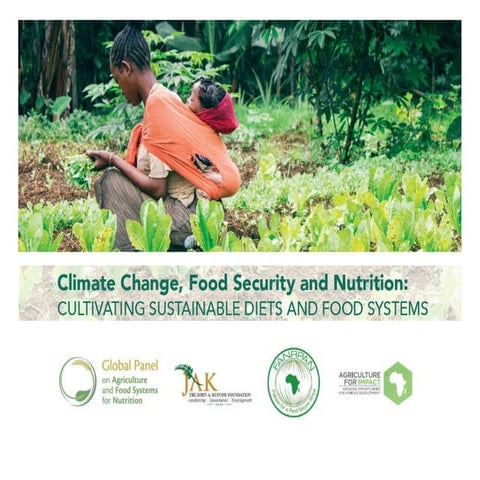 Tom Arnold at CFS 42 Side Event 2015