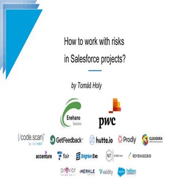 How to work with risks in Salesforce projects?, Tomáš Holý | PPTX