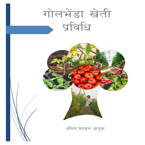 Tomato Package of Practice in Nepal. pdf