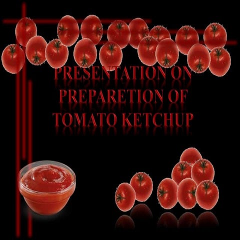 Tomato sauce presentation
