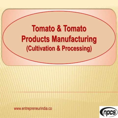 How to start Tomato Products Processing Industry 