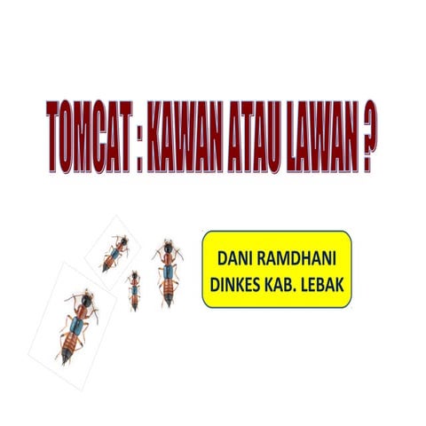 Tomcat kawan atau lawan