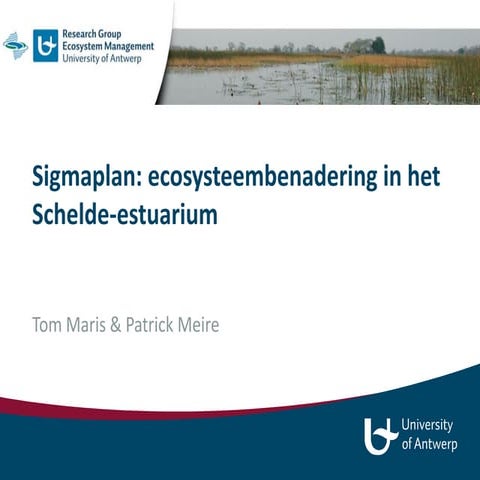 Werelddag van de Stedenbouw. Sigmaplan: ecosysteembenadering in het Schelde-e...