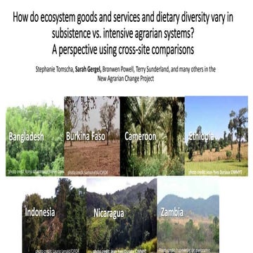 How do ecosystem goods and services and dietary diversity vary in subsistence...