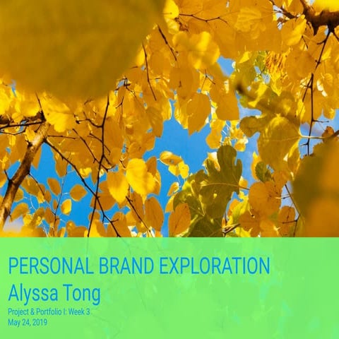 Personal Brand Exploration