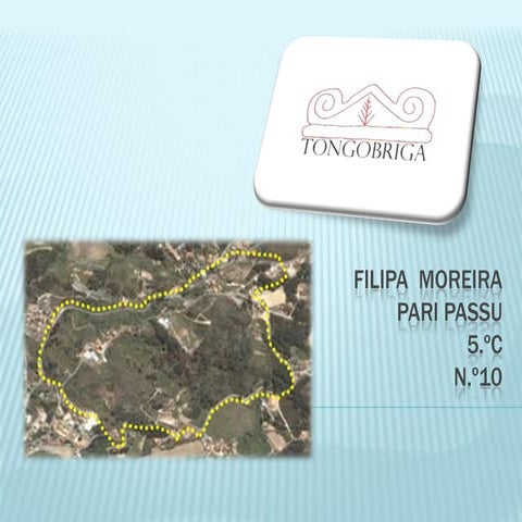 Tongobriga filipa daniela_5_c (1)