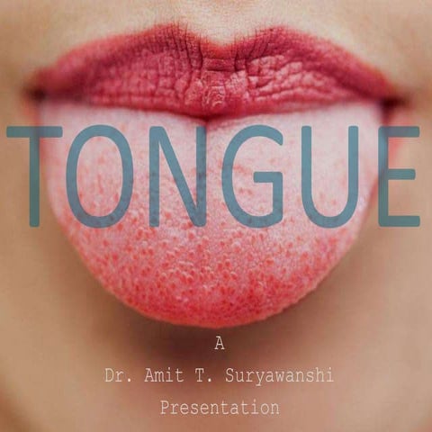 The Tongue. Everything about it.