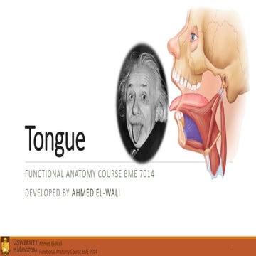 tongue.pdf