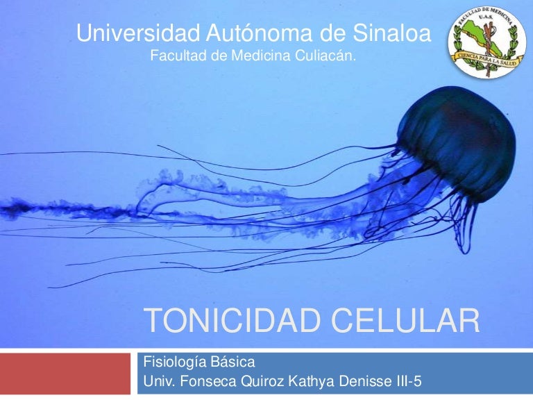 Tonicidad2