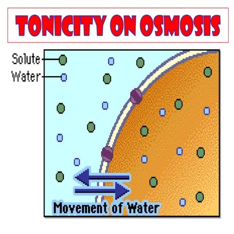 Tonicity on osmosis (1). for students and teachers | PPT