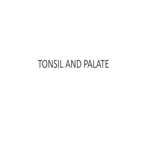 tonsil and palate ppt copy.pptx