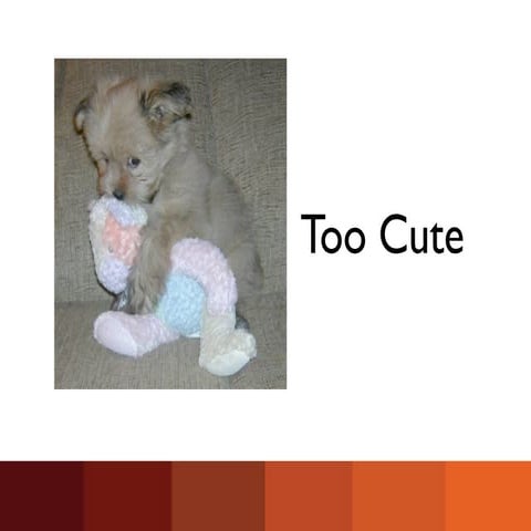 Too Cute | KEY