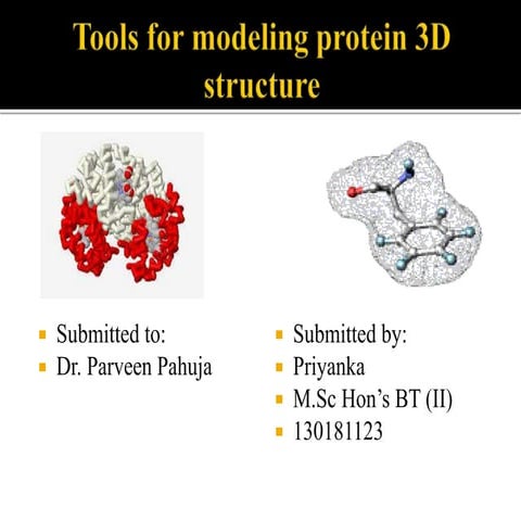 Tools for modeling protein 3 d structure | PPTX | Chemistry | Science