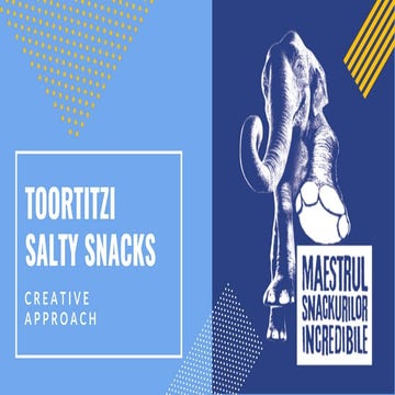 Toortizi  -  Rationale  ( SALTY SNACKS )