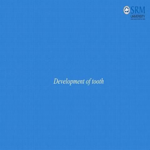 tooth.pdfbnghhbgghbgvgvgvgvgvgvgvgvgvgvg