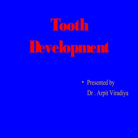 Tooth development