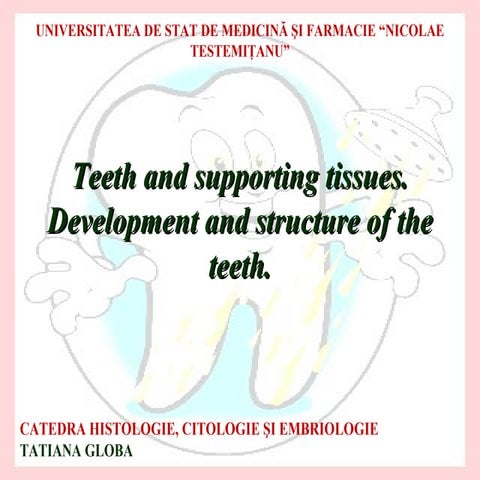 Tooth development med.gen.engl
