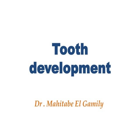 Tooth development 