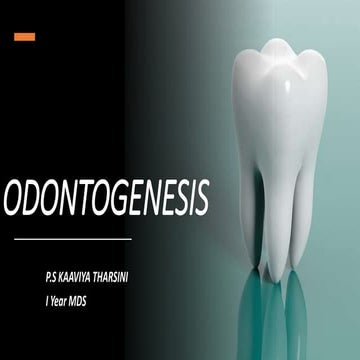 Tooth development along with clinical importance - Oral histology