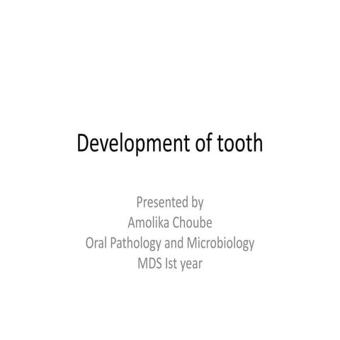 Tooth development