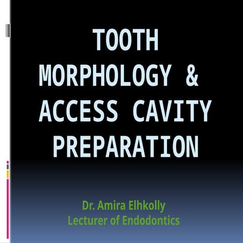 Access opening of molar teeth | PDF