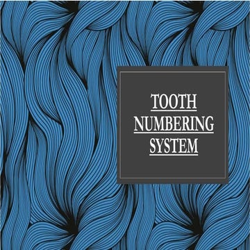 Tooth numbering system
