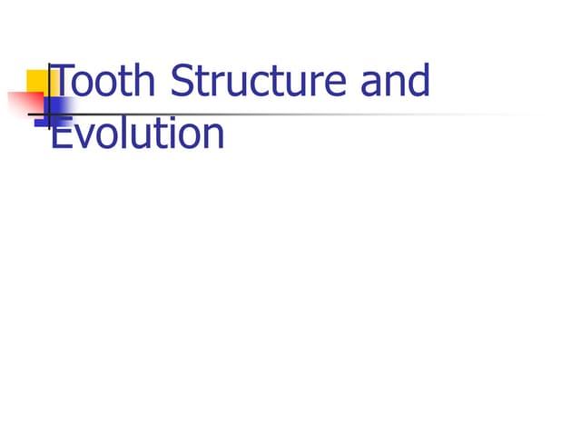 Dentition in Mammals | PPTX