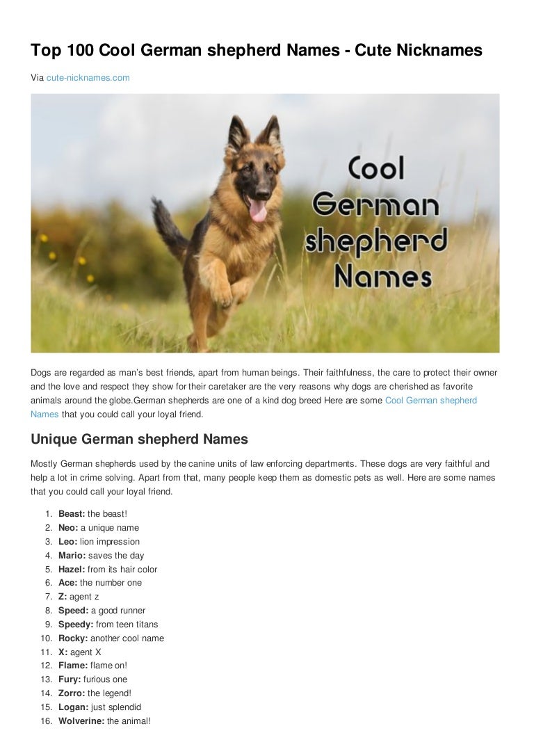 Discount german shepherd puppy names boy Free Shipping