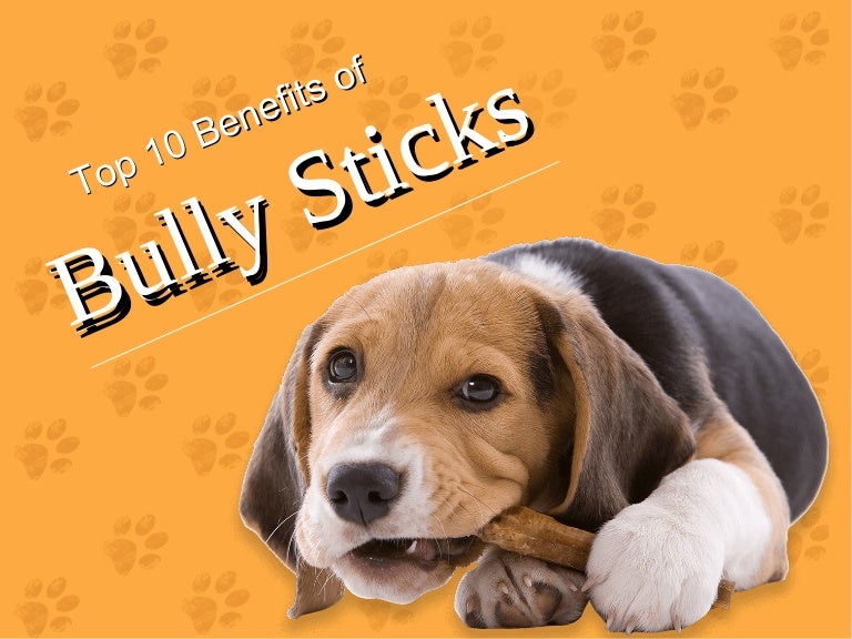 benefits of bully sticks
