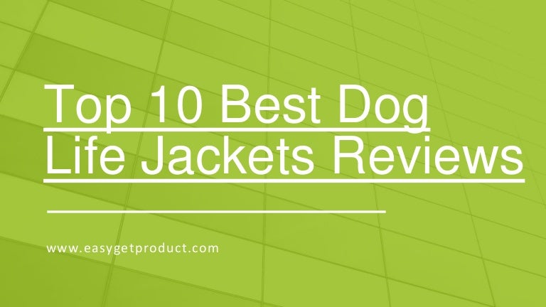 best dog life jackets 2019