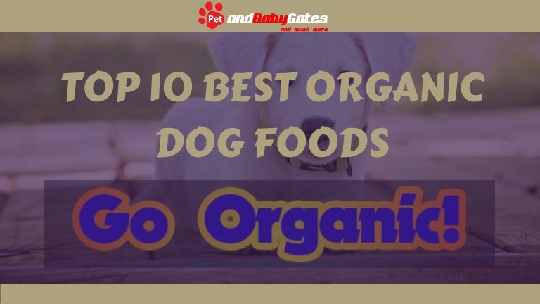top natural dog food