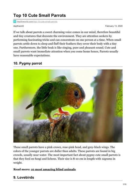 Top 10 cute small parrots | PDF