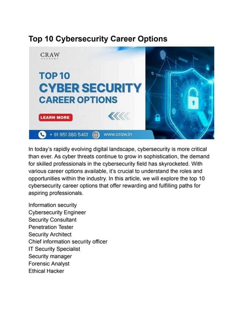 Top 10 Cybersecurity Career Options.pdfffff | PDF