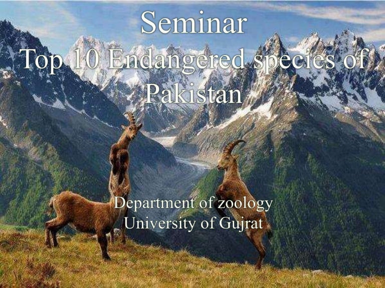 Top 10 Endangered Species Of Pakistan top-10-endangered-species-of-pakistan