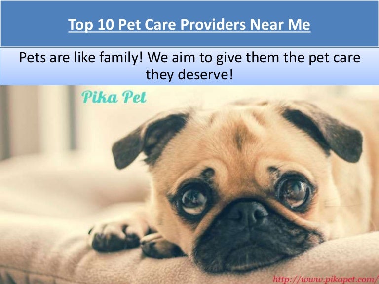 best pet care near me