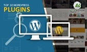 The Top 10 Popular WordPress Plugins