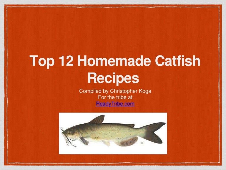 Top 12 Homemade Catfish Recipes