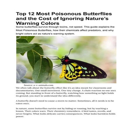 Top 12 Most Poisonous Butterflies and the Cost of Ignoring Nature’s ...