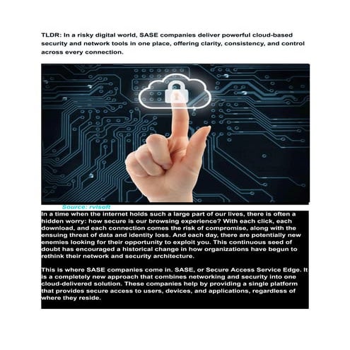 Top 15 SASE Companies You Have Probably Never Heard of, But Should!