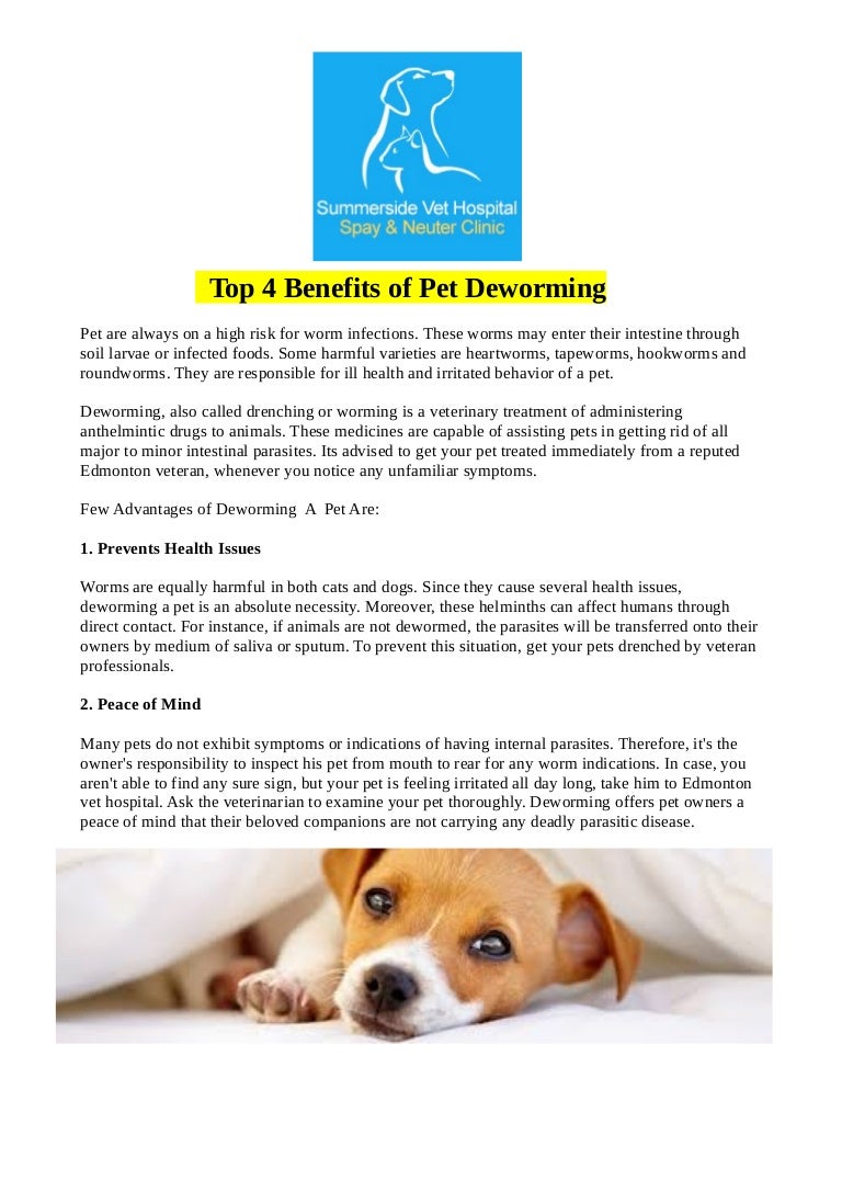 intestinal worm medicine for dogs