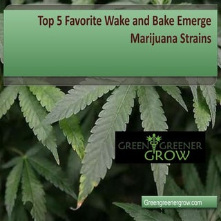 Top 5 favorite wake and bake emerge...