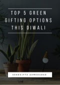 SendGifts Ahmedabad - Top 5 Green Gifting Options This Diwali