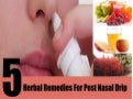 Top 5 Herbal Remedies For Post Nasal Drip