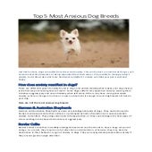 Top 5 most anxious dog breeds | PDF