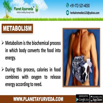 Top 5 Natural Ways To Slow Your Metabolism | Weight Gain Naturally 